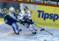 /album/fotogaleria-tipsport-extraliga/stazeny-soubor-jpg/